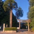 実際訪問したユーザーが直接撮影して投稿したしらさぎ神社白鷺神社の写真