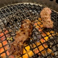 実際訪問したユーザーが直接撮影して投稿した大和南肉料理ぎゅうぎゅう 王桜苑の写真