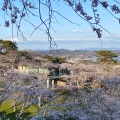 実際訪問したユーザーが直接撮影して投稿した松島カフェロマンの写真