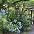 実際訪問したユーザーが直接撮影して投稿した北山寺資福寺の写真