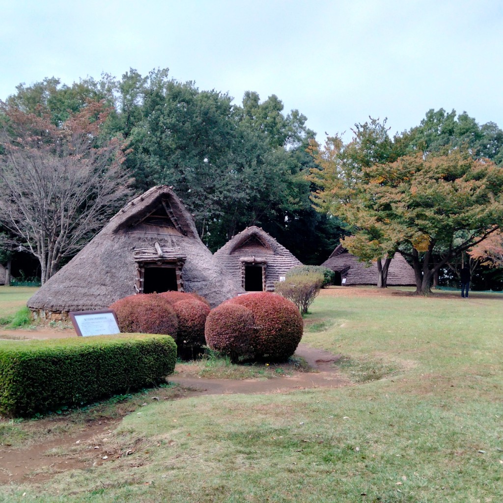 実際訪問したユーザーが直接撮影して投稿した大棚西公園大塚・歳勝土遺跡公園の写真