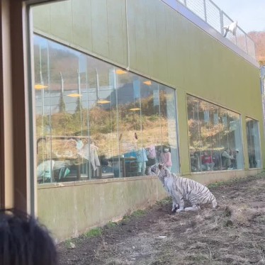 実際訪問したユーザーが直接撮影して投稿した稲取動物園伊豆アニマルキングダムの写真