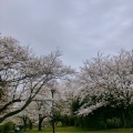 実際訪問したユーザーが直接撮影して投稿した和田山公園本牧山頂公園の写真