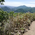 実際訪問したユーザーが直接撮影して投稿した山 / 峠三角山の写真