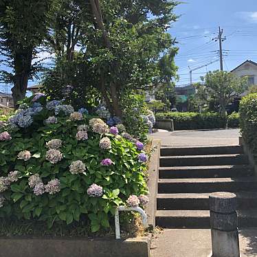 実際訪問したユーザーが直接撮影して投稿した上菅田町公園上菅田第四公園の写真