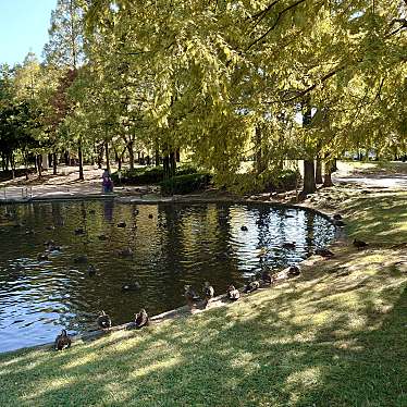 実際訪問したユーザーが直接撮影して投稿した六野公園神宮東公園の写真