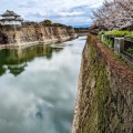 実際訪問したユーザーが直接撮影して投稿した河川南外濠の写真