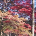 実際訪問したユーザーが直接撮影して投稿した草久神社古峯神社の写真