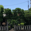 実際訪問したユーザーが直接撮影して投稿した亀沢神社野見宿禰神社の写真