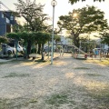 実際訪問したユーザーが直接撮影して投稿した茶屋町公園耳塚公園の写真