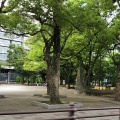 実際訪問したユーザーが直接撮影して投稿した市場町公園羽衣公園の写真