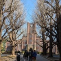 実際訪問したユーザーが直接撮影して投稿した本郷大学東京大学の写真