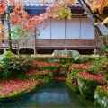 実際訪問したユーザーが直接撮影して投稿した百済寺町寺百済寺の写真