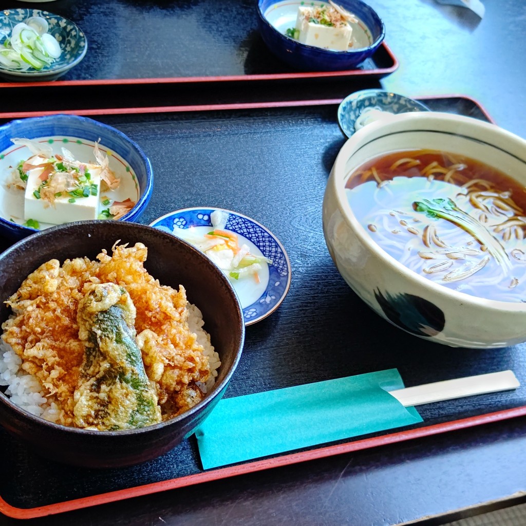 ノアールさんが投稿した日和田町うどんのお店手打ちそばうどん玉川屋藤澤/テウチソバウドンタマカワヤトウタクの写真