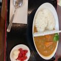 ダムカレー - 実際訪問したユーザーが直接撮影して投稿した林定食屋八ッ場食堂の写真のメニュー情報