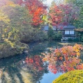 実際訪問したユーザーが直接撮影して投稿した山内庭園日光山輪王寺 逍遥園の写真