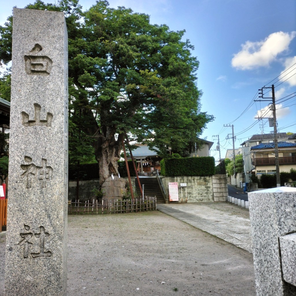 実際訪問したユーザーが直接撮影して投稿した練馬文化財練馬白山神社の大ケヤキの写真