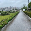 実際訪問したユーザーが直接撮影して投稿した汐入町公園ヴェルニー公園管理事務所の写真