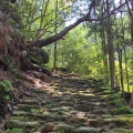 実際訪問したユーザーが直接撮影して投稿した木本町山 / 峠松本峠の写真