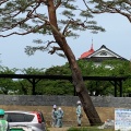 実際訪問したユーザーが直接撮影して投稿した馬場町公園鶴岡公園の写真