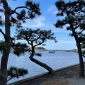 実際訪問したユーザーが直接撮影して投稿した瀬戸神社琵琶島神社の写真