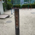 実際訪問したユーザーが直接撮影して投稿した大町西公園大町公園の写真