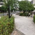 実際訪問したユーザーが直接撮影して投稿した押上公園おしなり公園の写真