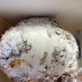 シュークリーム - 実際訪問したユーザーが直接撮影して投稿した油見ケーキ菓子園 喜喜の写真のメニュー情報