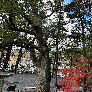 ヒロシはベイスターズ魂さんが投稿した八坂神社のお店事任八幡宮/コトノママハチマングウの写真