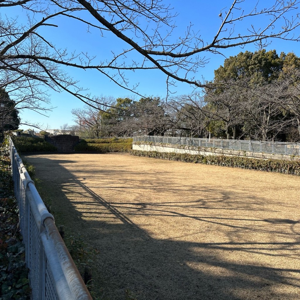 実際訪問したユーザーが直接撮影して投稿した鶴牧公園奈良原公園の写真