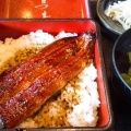 実際訪問したユーザーが直接撮影して投稿した新宿和食 / 日本料理和膳 たつ吉の写真