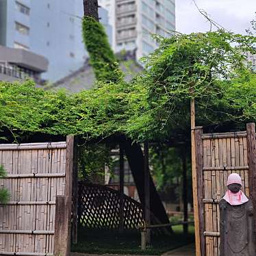 実際訪問したユーザーが直接撮影して投稿した小日向寺傅明寺の写真