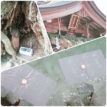 実際訪問したユーザーが直接撮影して投稿した佐草町神社八重垣神社の写真