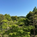 実際訪問したユーザーが直接撮影して投稿した大聖寺地方町喫茶店茶房古九谷の写真