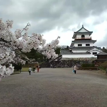 tabimaruさんが投稿した益岡町桜の名所のお店白石城本丸広場の桜/シロイシジョウホンマルヒロバノサクラの写真