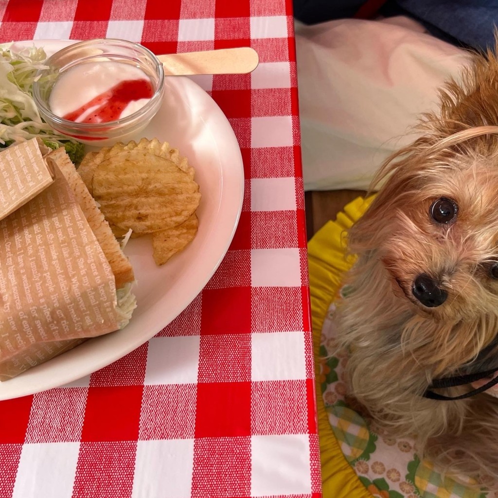 実際訪問したユーザーが直接撮影して投稿した鎌原カフェD-CAFEの写真