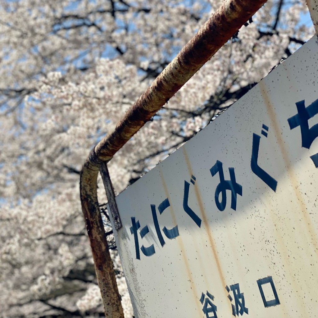 実際訪問したユーザーが直接撮影して投稿した谷汲長瀬駅（代表）谷汲口駅 (樽見鉄道)の写真