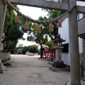 実際訪問したユーザーが直接撮影して投稿した中桜塚神社原田神社の写真