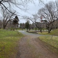 実際訪問したユーザーが直接撮影して投稿した馬場町公園鶴岡公園の写真