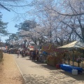 実際訪問したユーザーが直接撮影して投稿した御山町公園悠久山公園の写真