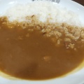 ポークカレー - 実際訪問したユーザーが直接撮影して投稿した山之手カレーCoCo壱番屋 豊田山之手店の写真のメニュー情報