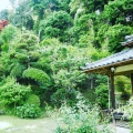 実際訪問したユーザーが直接撮影して投稿した高津原定食屋タコ庵の写真