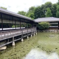 実際訪問したユーザーが直接撮影して投稿した庭園渉成園の写真