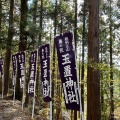 実際訪問したユーザーが直接撮影して投稿した玉置川神社玉置神社の写真