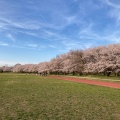 実際訪問したユーザーが直接撮影して投稿した中島散策路宮川堤の写真