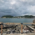 実際訪問したユーザーが直接撮影して投稿した堀内餃子葉山港湾食堂の写真