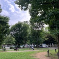 実際訪問したユーザーが直接撮影して投稿した大久保公園戸山公園 やくどうの広場の写真