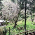 実際訪問したユーザーが直接撮影して投稿した早崎町神社竹生島神社の写真