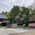 実際訪問したユーザーが直接撮影して投稿した桜台神社櫻木神社の写真