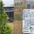 実際訪問したユーザーが直接撮影して投稿した芦田町大字福田動物園福山市立動物園の写真